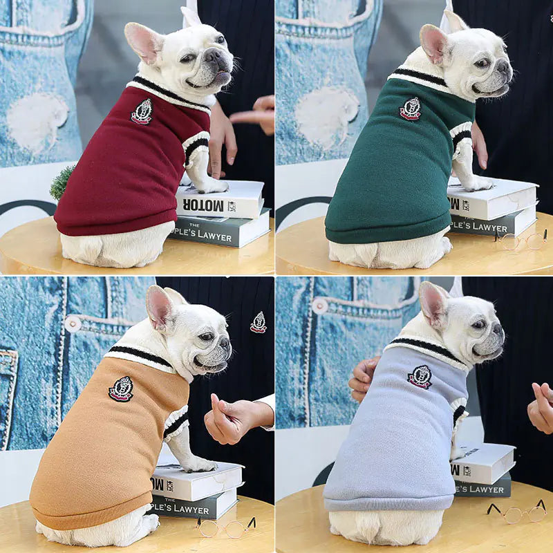 Irresistible College Style Warm Dog Clothes