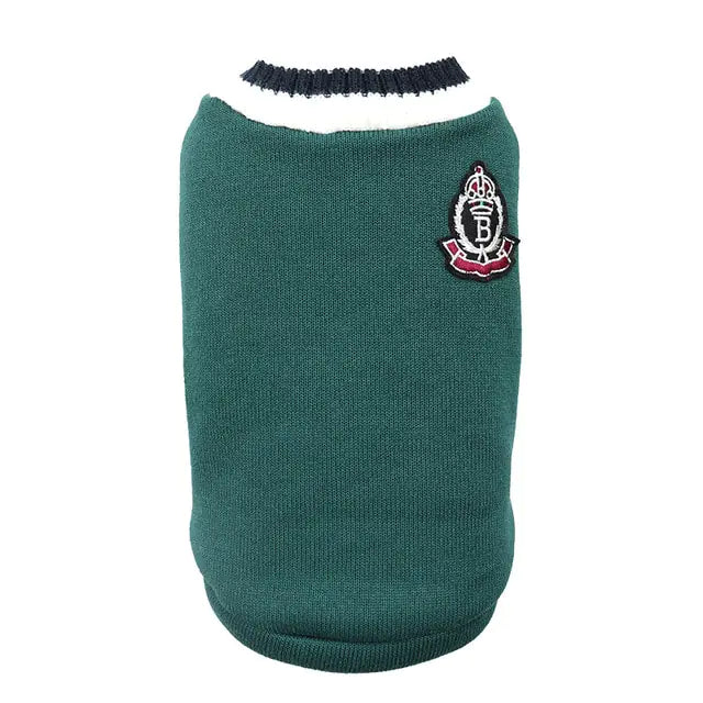 Irresistible College Style Warm Dog Clothes