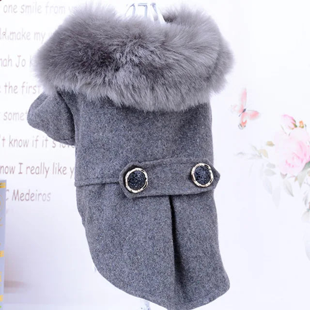 Fur-Collared Jacket for Pets