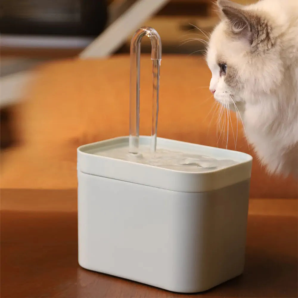 Clean Pet Water Dispenser