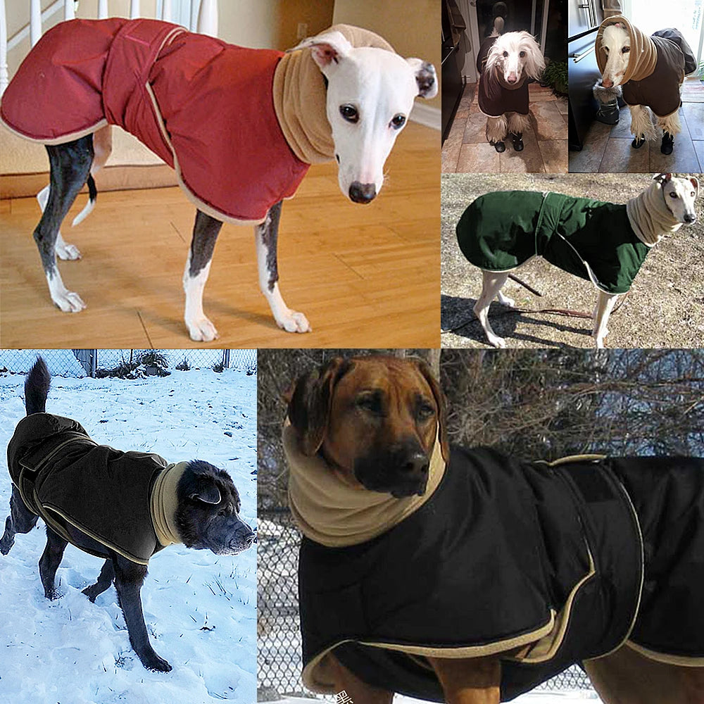 Thick, Super-Warm Dog Clothes