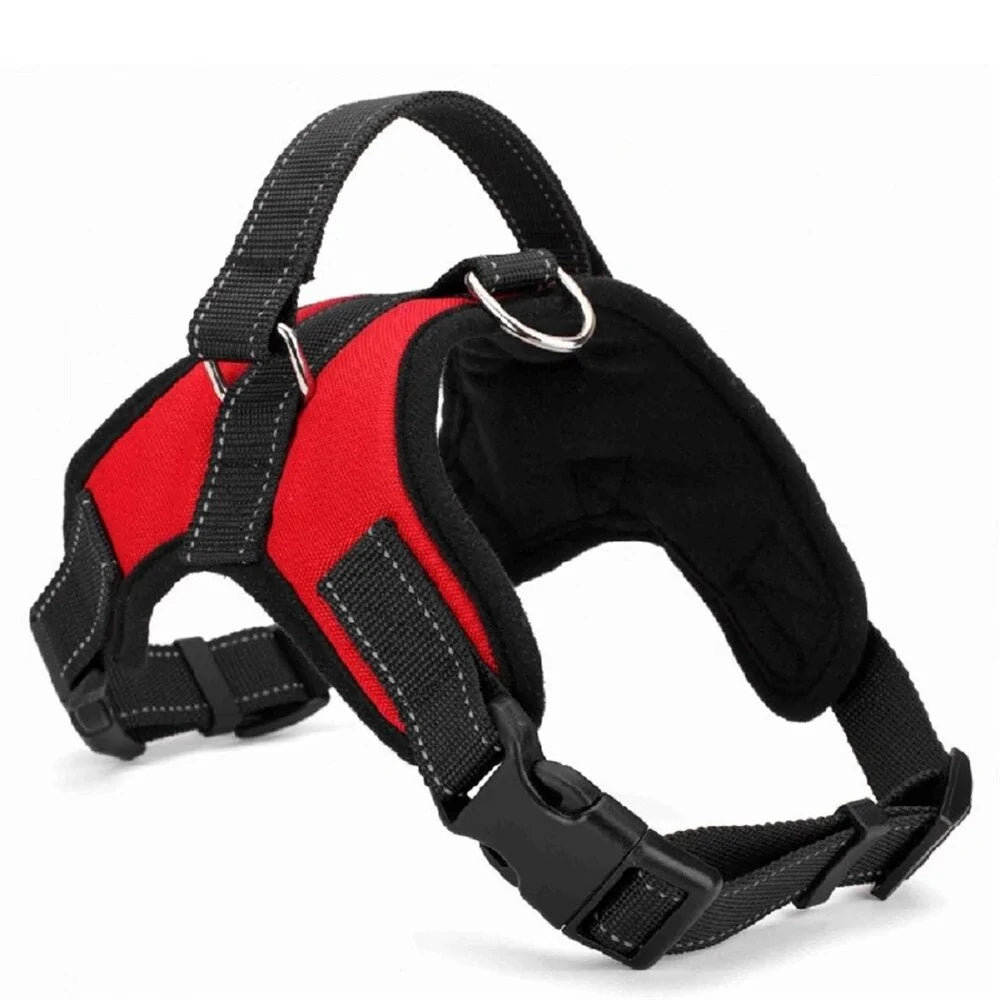 Adjustable dog pet harness collar.