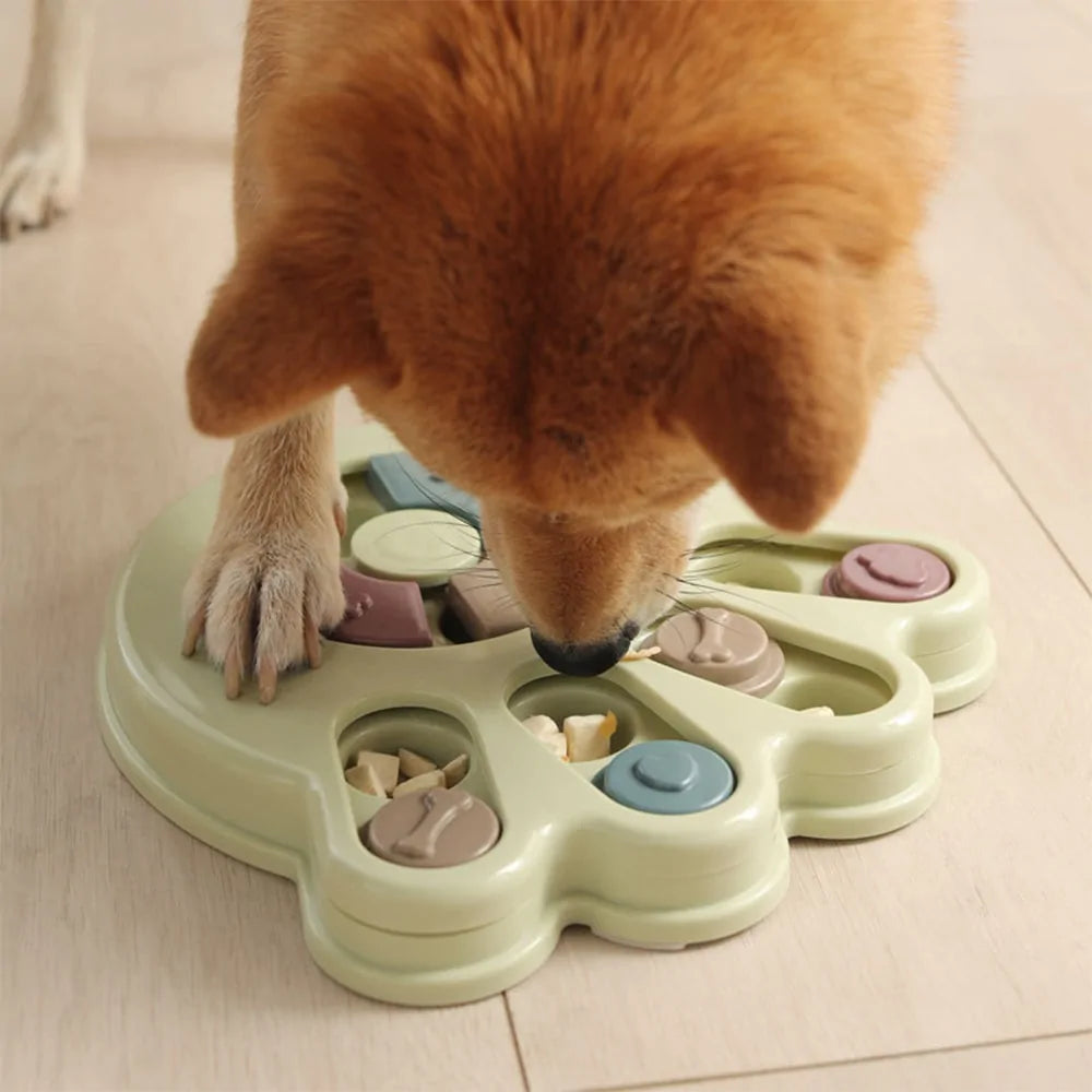 Playful Dog Puzzle Toys