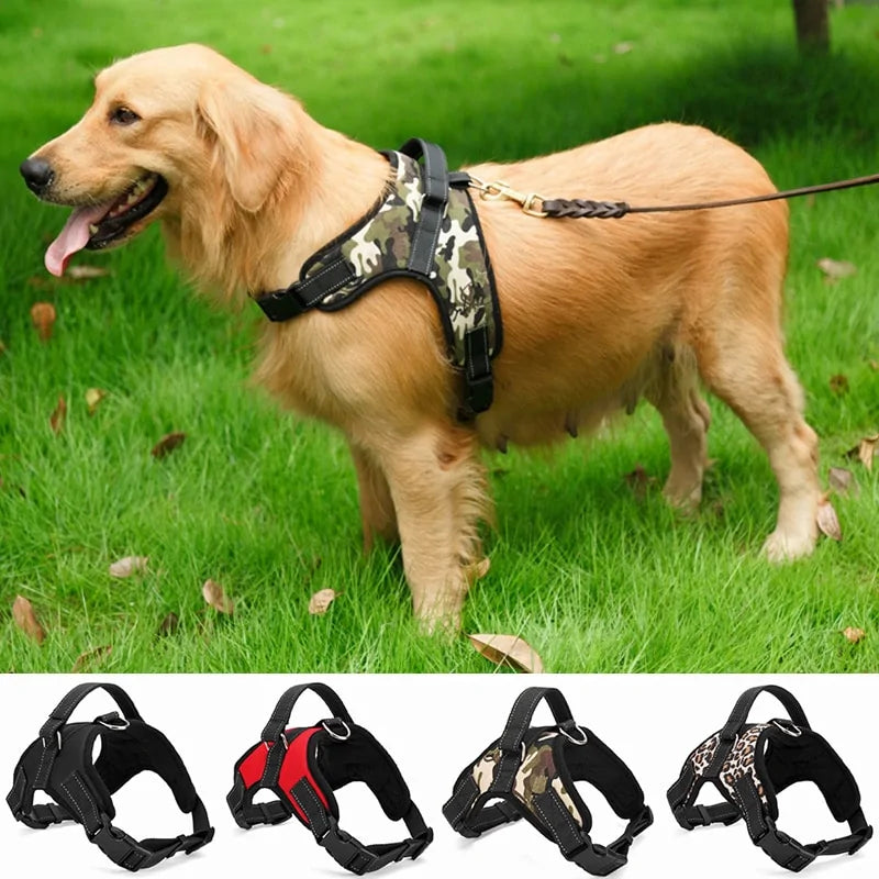 Adjustable dog pet harness collar.