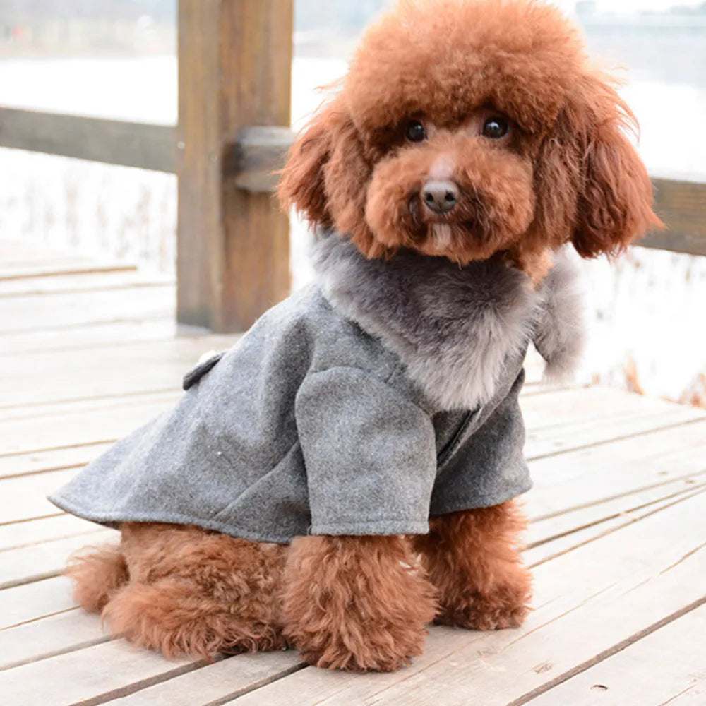 Fur-Collared Jacket for Pets