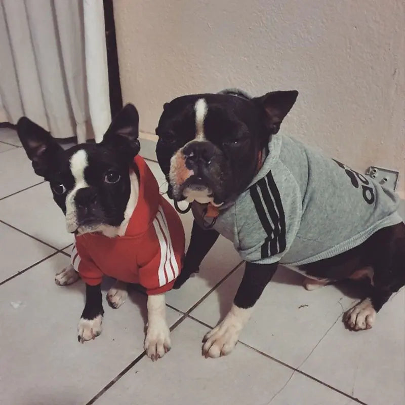 Stylish Dog Sport Hoodies