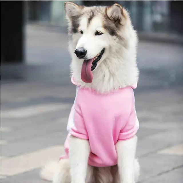 Stylish Dog Sport Hoodies