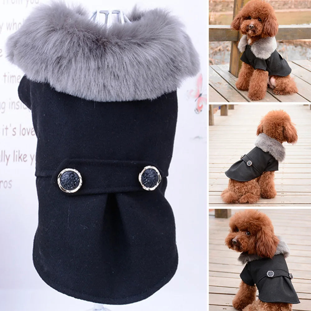 Fur-Collared Jacket for Pets