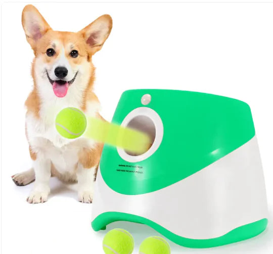 Interactive Automatic Throwing Machine Pet