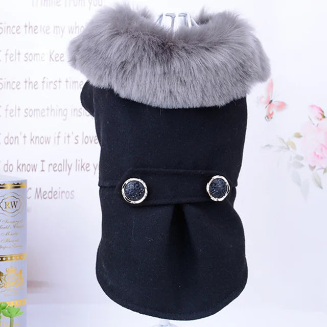 Fur-Collared Jacket for Pets