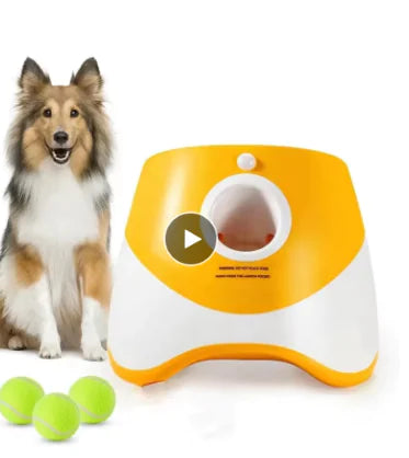 Interactive Automatic Throwing Machine Pet