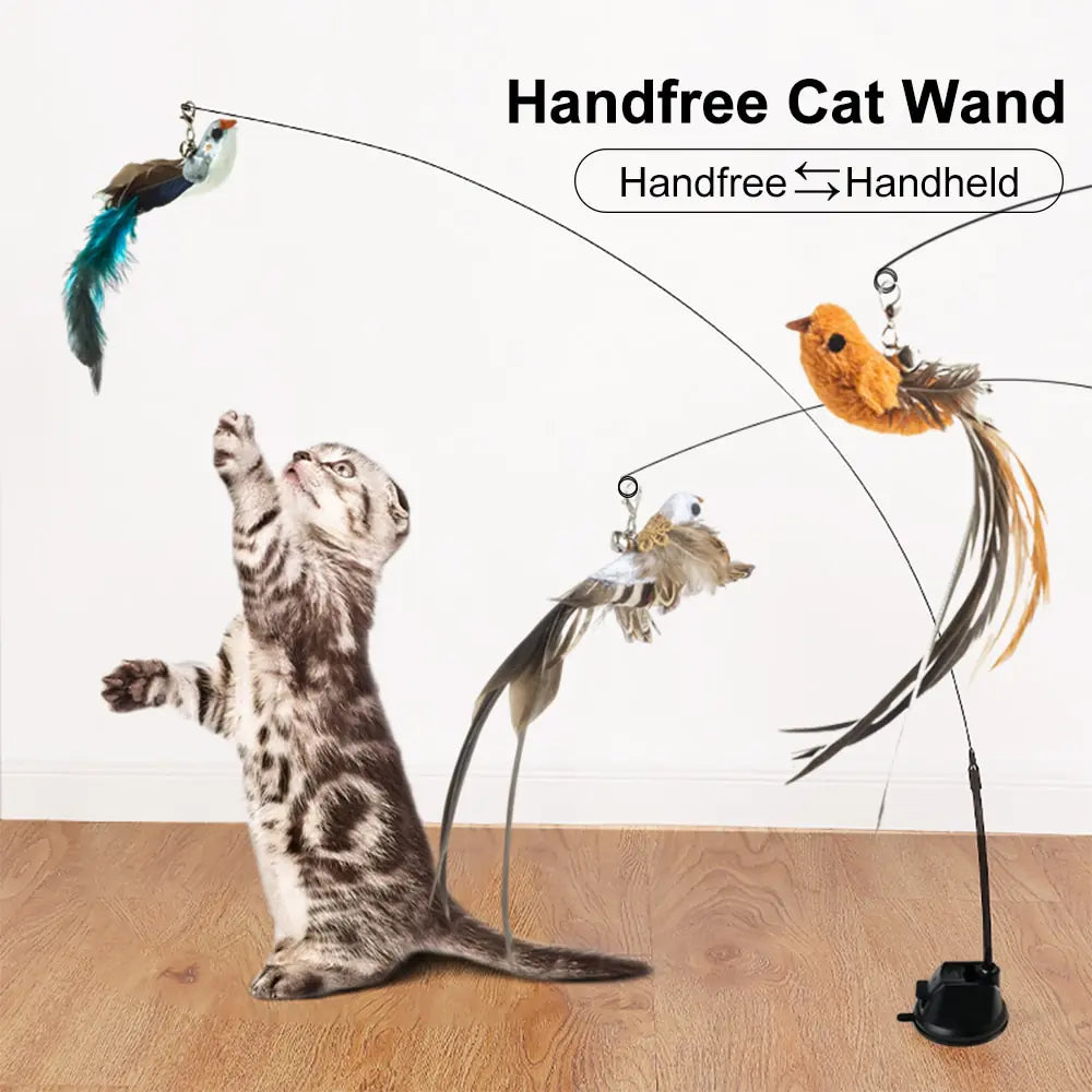 Hand free Wand for Cats