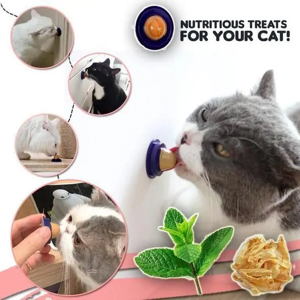 Candy Treat for Cats