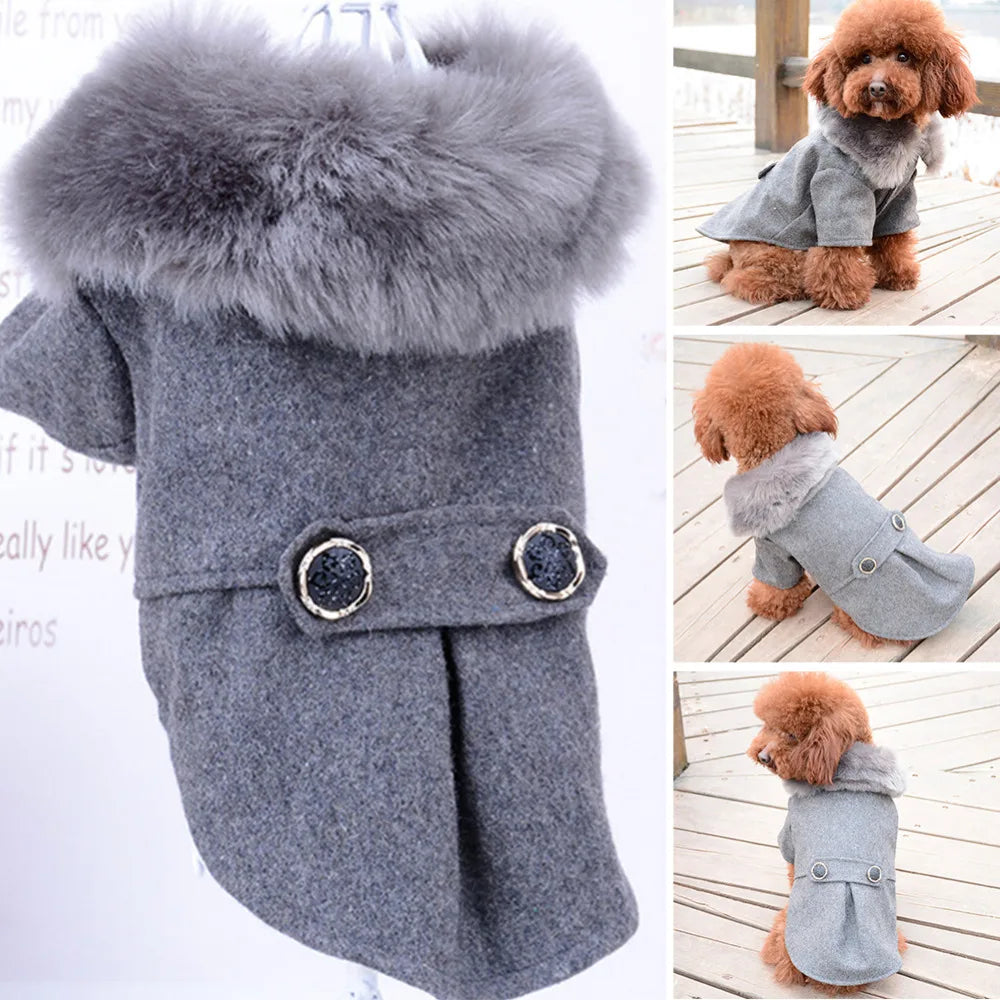 Fur-Collared Jacket for Pets